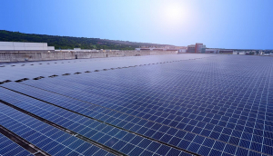 中美硅晶与世界杯下单平台网站官网光电携手战略合作