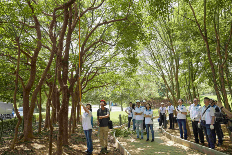 藝師教導大家認識樹木、檢查樹的健康狀況，學習修枝及碎枝覆土